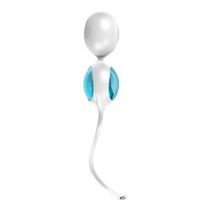 OVO - L1 KEGEL BALLS